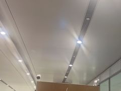 -麦当劳(北京大兴机场二层国内到达(安检外)店)