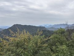 -大岭沟猕猴桃谷风景区