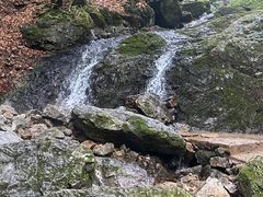 -本溪汤沟绿石谷森林公园