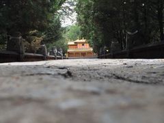 -罗布林卡