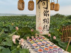 -七的湖·晚芳亭·阳澄湖农家菜·大闸蟹(莲花岛店)
