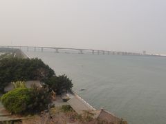 -大湾区中央湿地公园