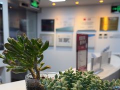 -精德口腔·种植修复·儿牙中心(财富中心店)