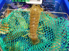 -盒马鲜生(岭南新世界店)