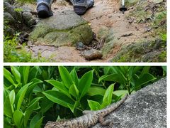 -红旗山庄(圭峰山店)