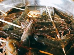 鲜海白虾-渔米粥(罗湖店)