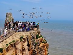 -海驴岛(荣成市)