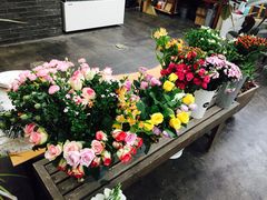 -北马山庄植趣咖啡