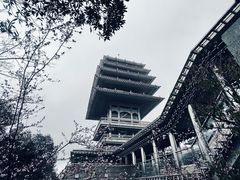 -临平公园(临平街道)