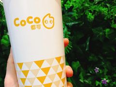 铁观音珍珠奶茶加芋头青稞-CoCo都可(合生汇店)