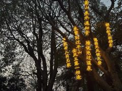 -天目湖涵田半山温泉