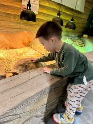 -Zoolung Zoolung动物主题公园(海信广场店)