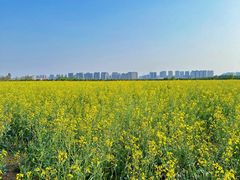 -汉长安城未央宫国家考古遗址公园