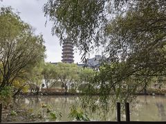 -长兴太湖图影湿地文化园