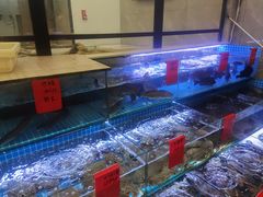 -洲晓鲜·舟山海鲜大排档(朱家尖风景区店)