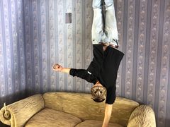 -金山农民画村-枫泾波兰倒置屋