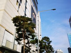 -乐天免税店(明洞店)
