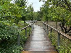 -昆山城市生态森林公园