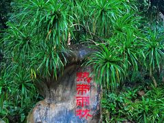 -中国科学院西双版纳热带植物园