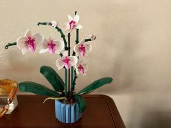 -乐高授权专卖店(华采天地店)