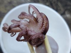 芥末白灼八爪鱼-贞姨美食·老字号海鲜大排档