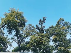 -终南山南五台景区