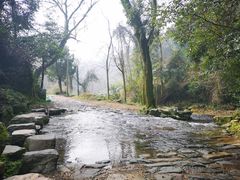 -龙井壹号·茶缘山景宴(龙井村店)