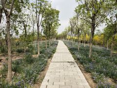 -天津东丽湖风景区