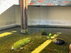 -几荷·恰似故人来(秀水广场店)