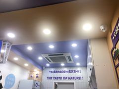 -一只酸奶牛(八一路店)
