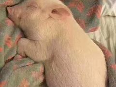 -协成海鲜火锅(情侣路店)