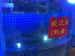 -蛙一刀·麻椒鱼火锅(金仙桥店)