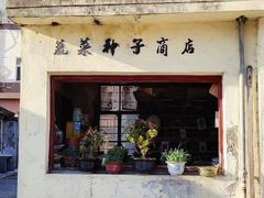 -三林塘老街