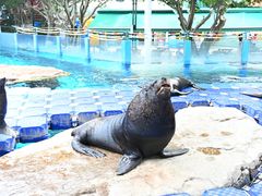 -海合安成都极地海洋公园