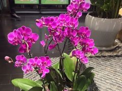 -黔蘑菇四季餐厅(观山湖店)