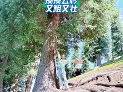 -新疆那拉提国家旅游度假区