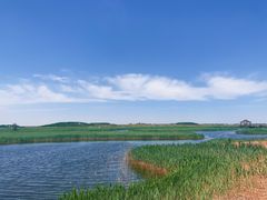-南大港湿地风景区