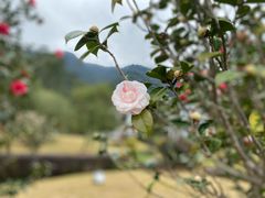 -福清灵石山国家森林公园