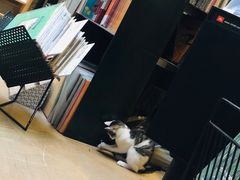 -黑胶星球(华发中城商都店)