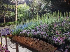 -广州市白云山风景名胜区
