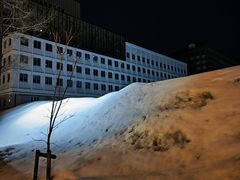 -北海道厅旧本厅舍(旧本庁舎)