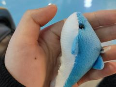 -南昌融创海世界
