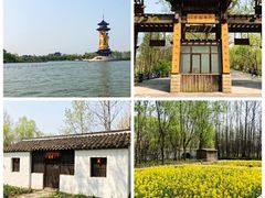 -溱湖国家湿地公园