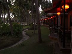 -东郊椰林