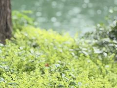 -黄公望隐居地