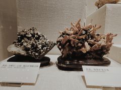 -柳州白莲洞洞穴科学博物馆