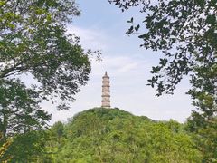 -巢湖姥山岛
