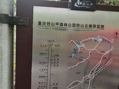 -铁山坪森林公园