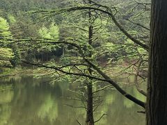 -四明山国家森林公园