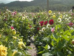 2013-09-06-536-百里山水画廊乌龙峡谷